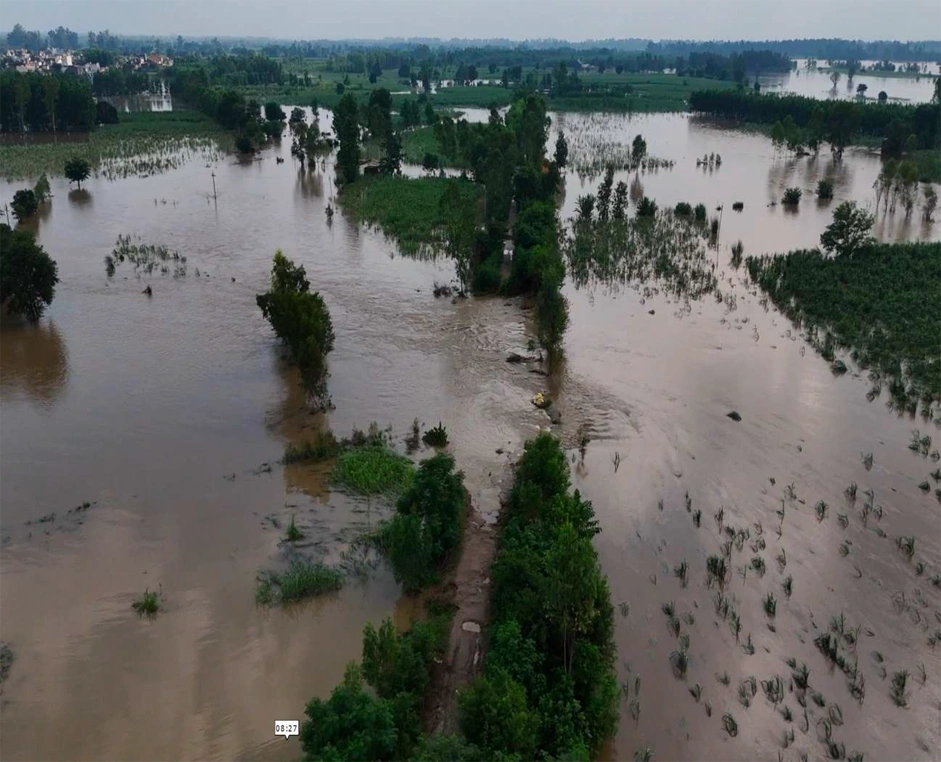 Flooded Farmland